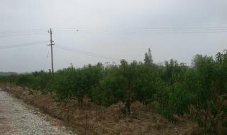 安徽省合肥市长丰县 安徽省合肥市长丰县