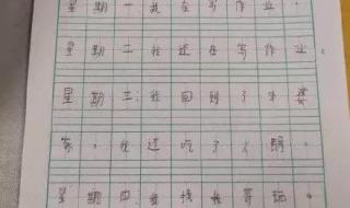 小学二年级日记