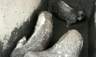 汶川地震捐款排行 汶川地震捐款排行