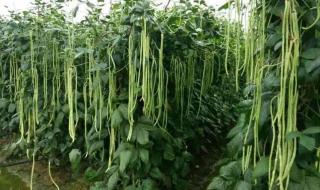 现在时间是多少 现在时间是多少