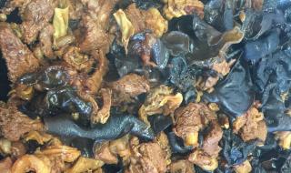 木耳的香气行家啊