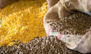 饲料添加剂品种目录