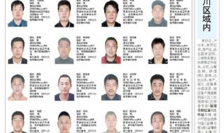 失信人查询名单