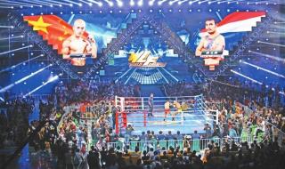 武林风拳王争霸赛 武林风拳王争霸赛