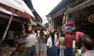 上海轨道交通16号线 上海轨道交通16号线