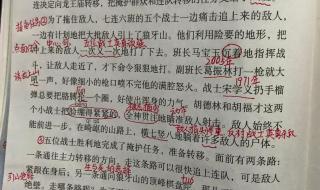 6年级语文书 6年级语文书