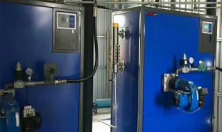 燃气蒸汽发生器 燃气蒸汽发生器