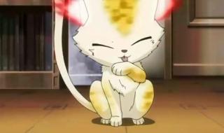 家庭教师观看顺序 家庭教师reborn动漫