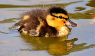 给水排水工程的期刊都有哪些 中国给水排水杂志