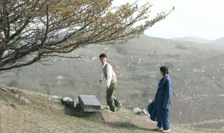 山楂树之恋主题曲 山楂树之恋主题曲