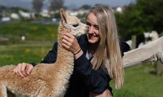 一生只爱你一次歌曲 一生只爱你一次歌曲