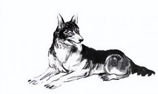 2014年的鼠年,2021是多少岁 属鸡的人2014年运程