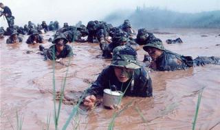 中国队奥运最高金牌数 中国乒乓球奖牌数量排名